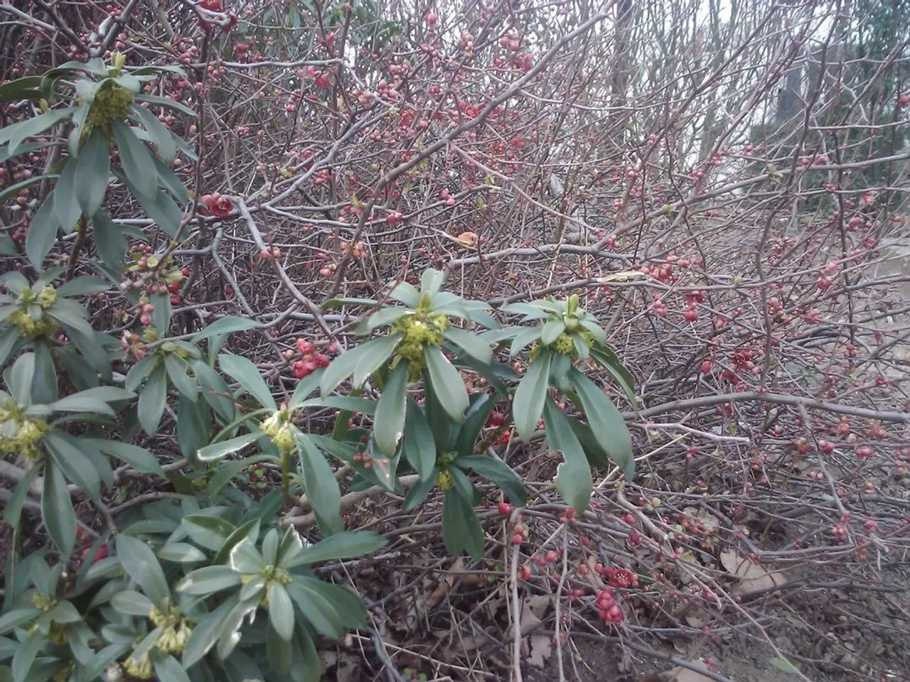 Right-Sided Headache: Understanding Origins, Significance, and Prompt Relief Strategies