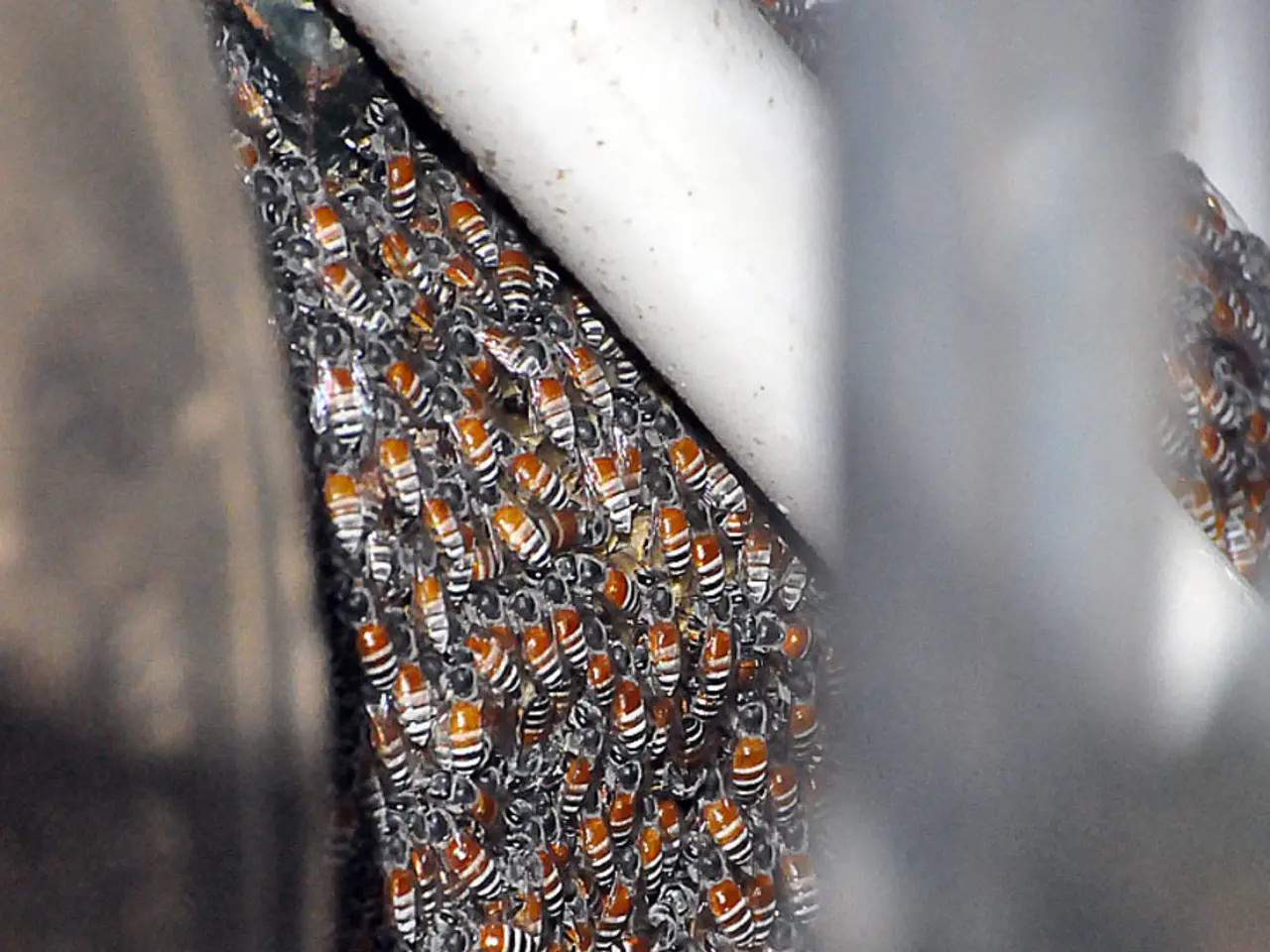 Critical Role of Bees for Humans and the Earth: An Examination of Their Significance