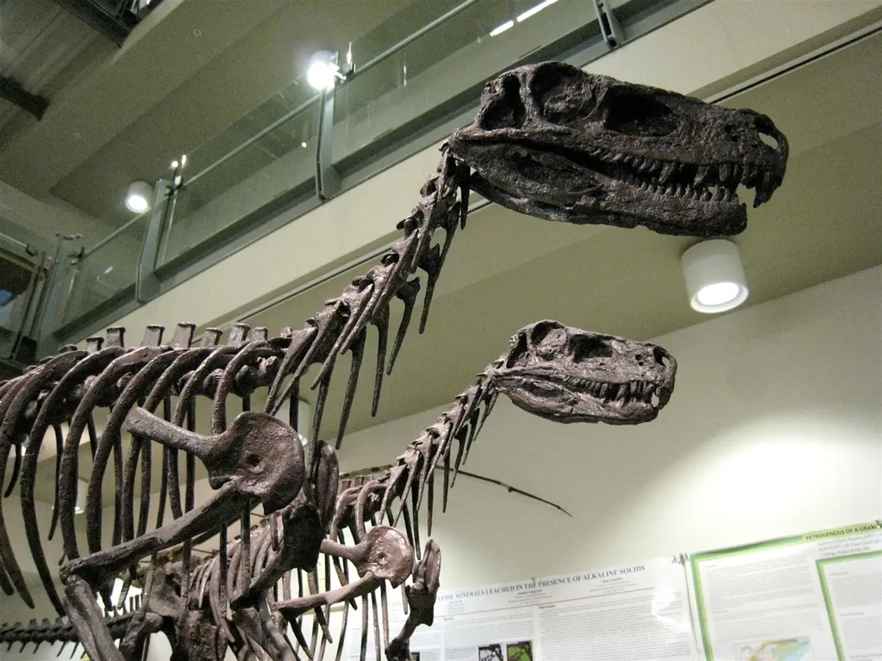 Ancient Marine Reptile Flippers May Offer Solutions for Reducing Noise Pollution