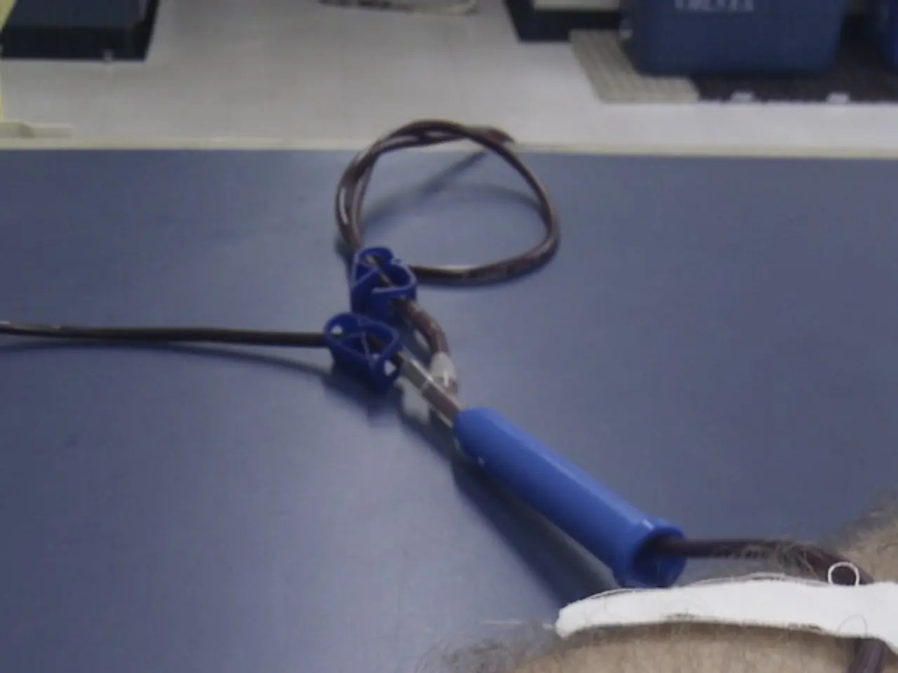 Types of Tuberculosis: Crucial Information