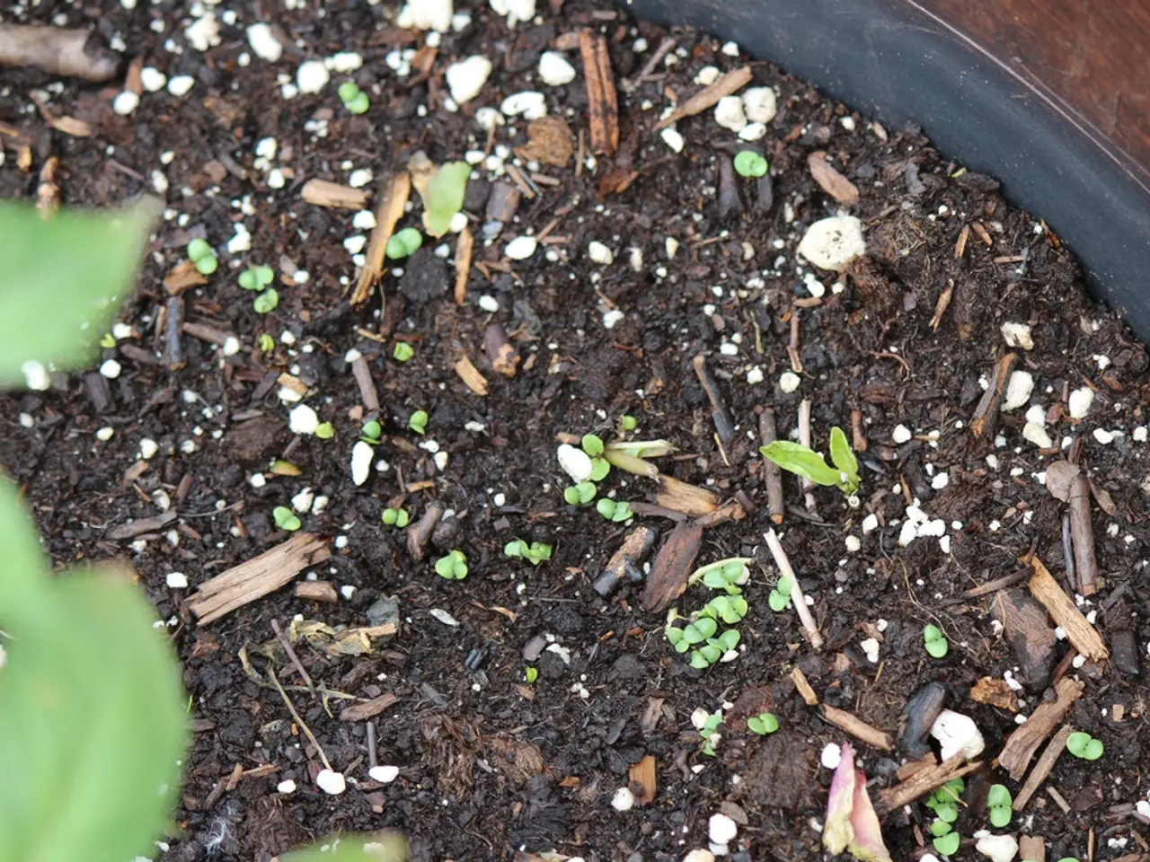 Soil Microbes Impact on Nutrients: Exploring the Role of Microorganisms in Nutrient Cycling