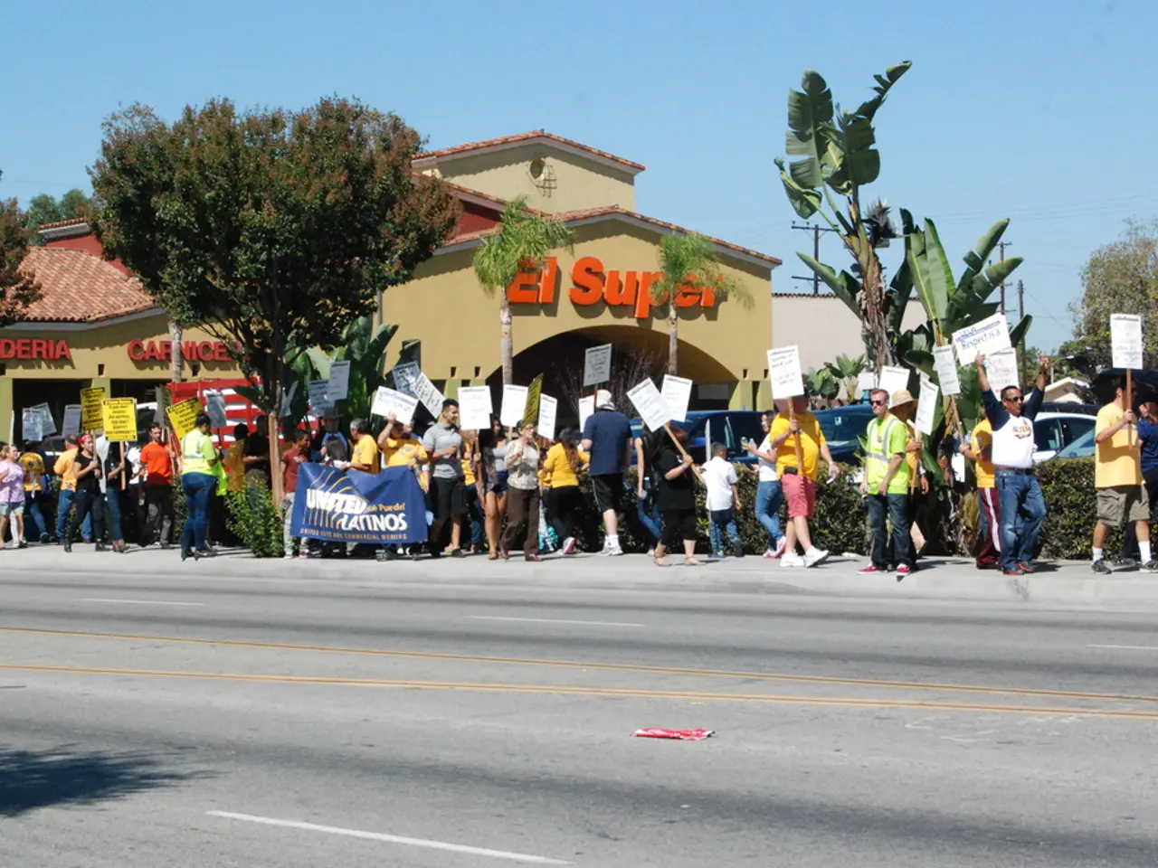 Involvement of the Commission in various matters