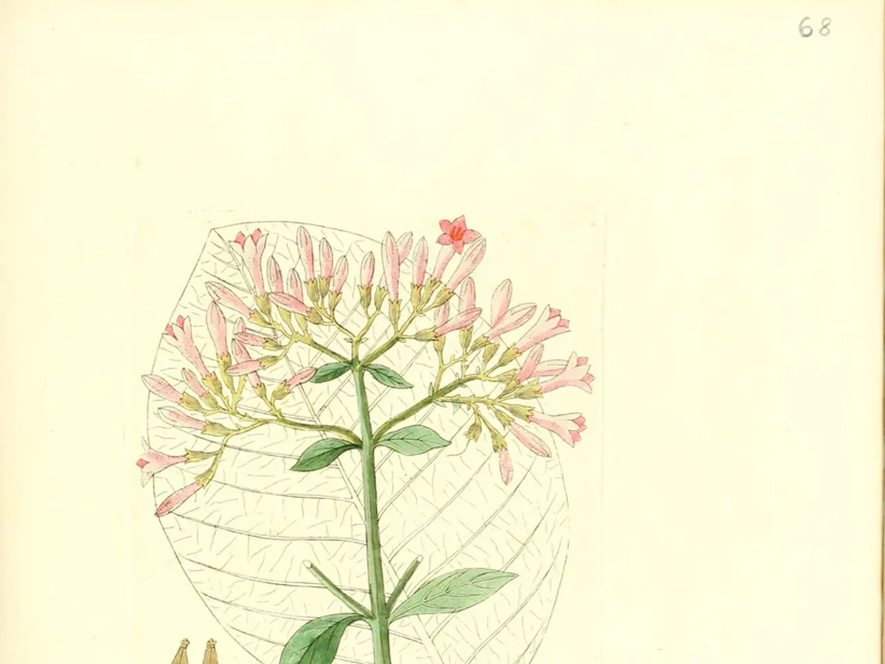 Exploration of Stem Cells: Applications, Variations, and Illustrative Cases