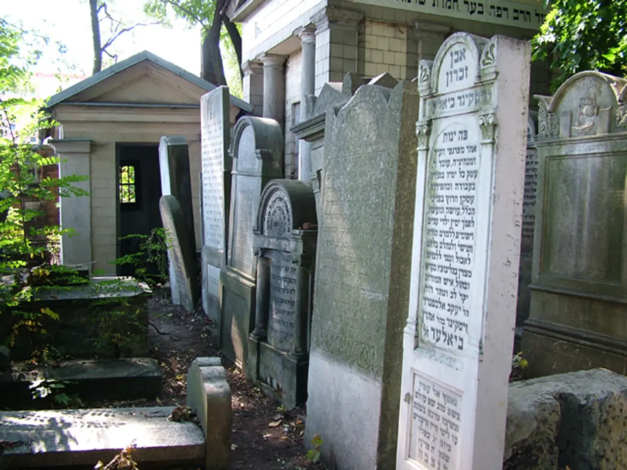 In this image I can see these are the graveyards. On the left side there are trees.