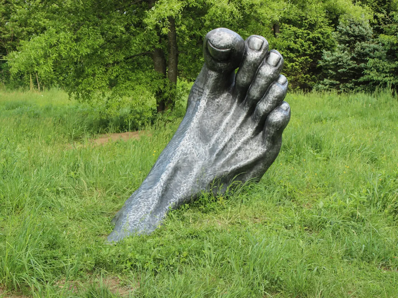 In this image there is a depiction of leg on the grass. In the background there are trees.