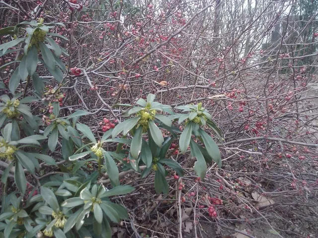 Right-Sided Headache Causes, Interpretations, and Swift Alleviation Strategies