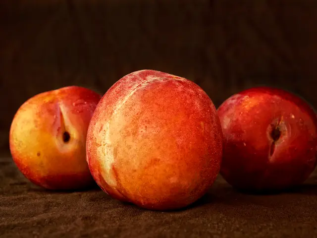 Red apple breeding: The intriguing quest for a fruit with a unique hue.