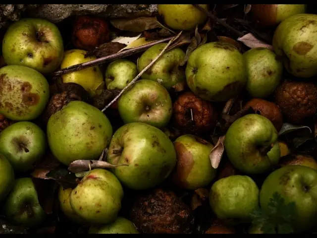 Prohibited Imports: Border Control Prevented Dried Apricots and Figs from Enters Buryatia