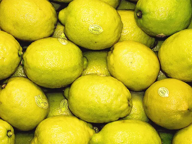 Foods to Steer Clear From, Symptoms, and Remedies for Citrus Sensitivity