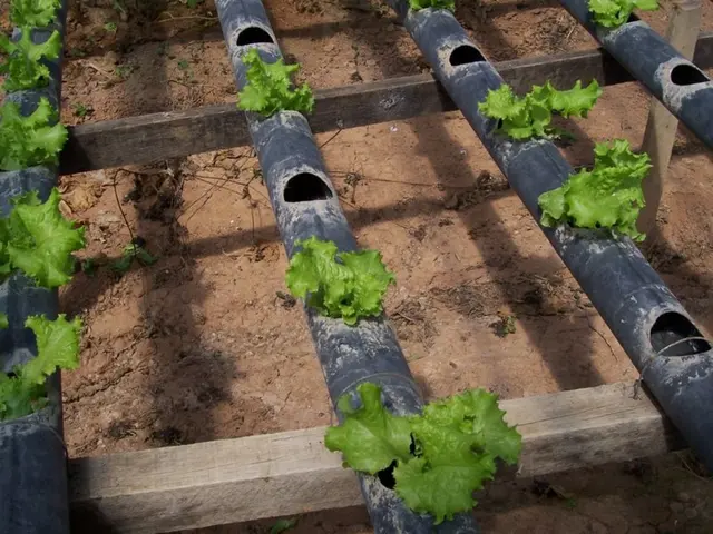 Stacks of Issues: Symptoms, Origin, and Solutions