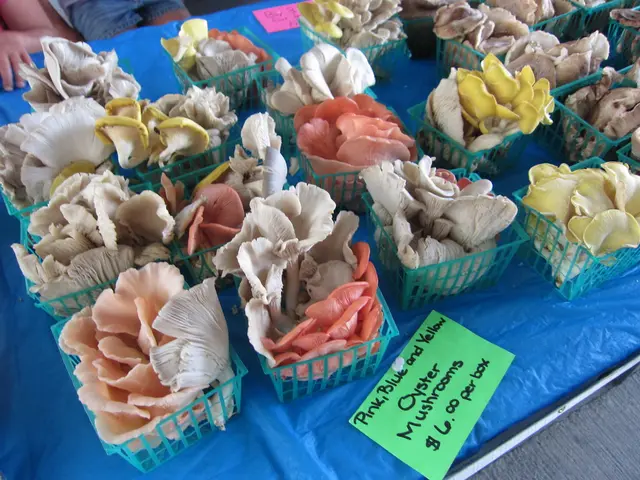 Grocery sector witnessing rapid transformation due to escalating consumer demand for mushrooms.