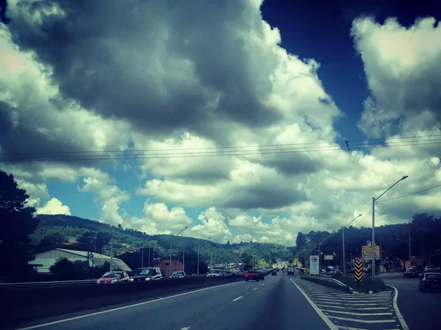 Fire-resistant Ulan-Ude health trail to remain accessible during high-risk fire seasons