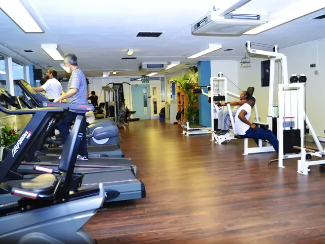 Excellent Number of Pushups Indicates Good Physical Condition for Your Age