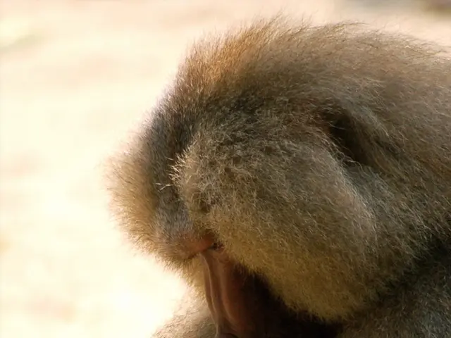 Genetic disorder: Characteristics, management, and outlook