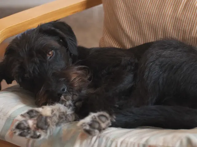 Identifying Pericarditis Caused by Viruses versus Bacteria