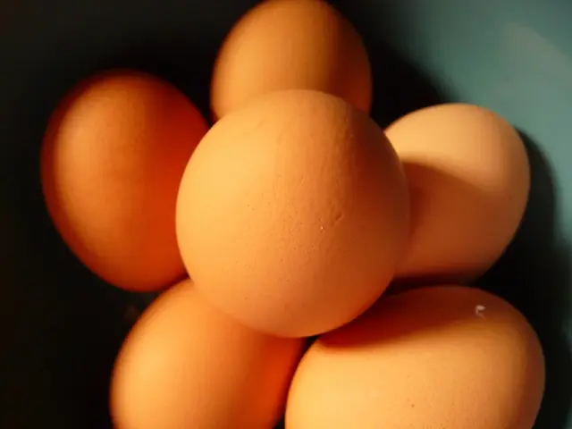 Over 2 Million Eggs Withdrawn from Market Due to Salmonella Contamination