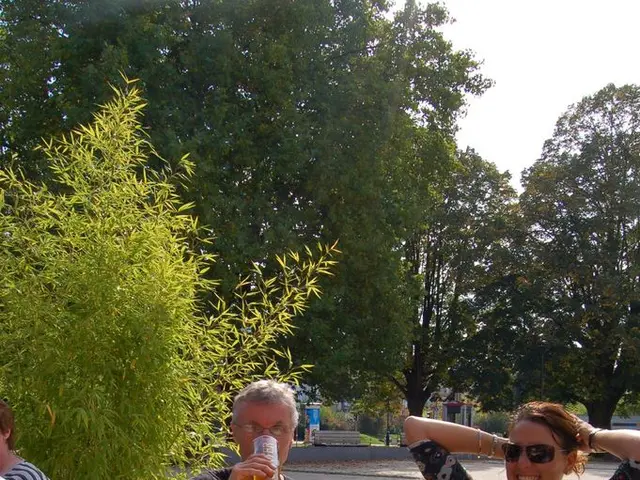 Consuming ibuprofen and alcohol together: Understanding potential hazards