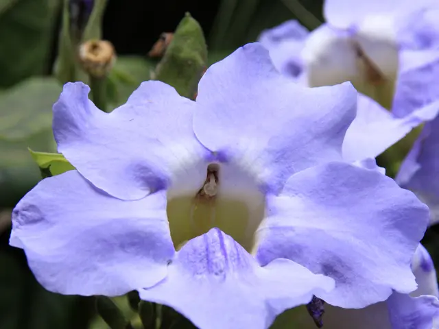 Strategies for Improved Morning Awakening: Insights from Medical Professionals and Effective...