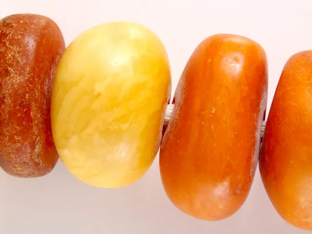 Unveiling the Most Nutritious Oils