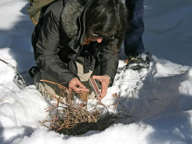 Fire victims in Los Angeles finding it harder to heal: Explanation of their ongoing distress...