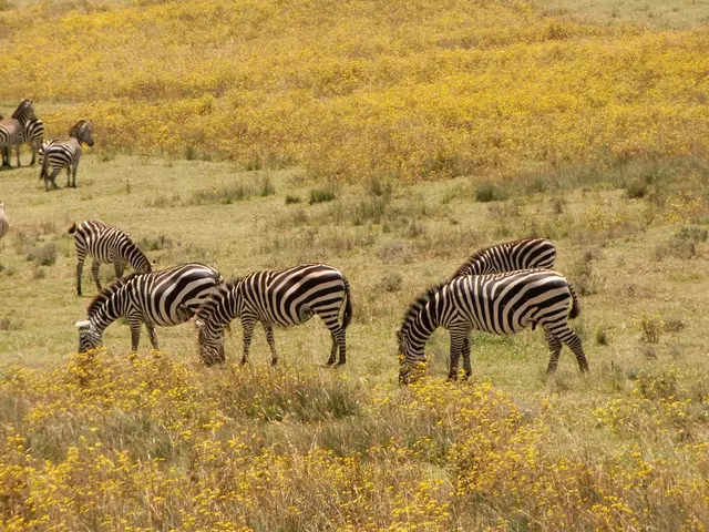 Transforming glioblastoma management: Insights into CAR-T cell therapy potentially offering a...