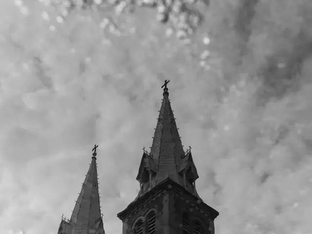 Unusual and Transnational Chemical Mist Spreads Across Multiple States (Fogvid-24)