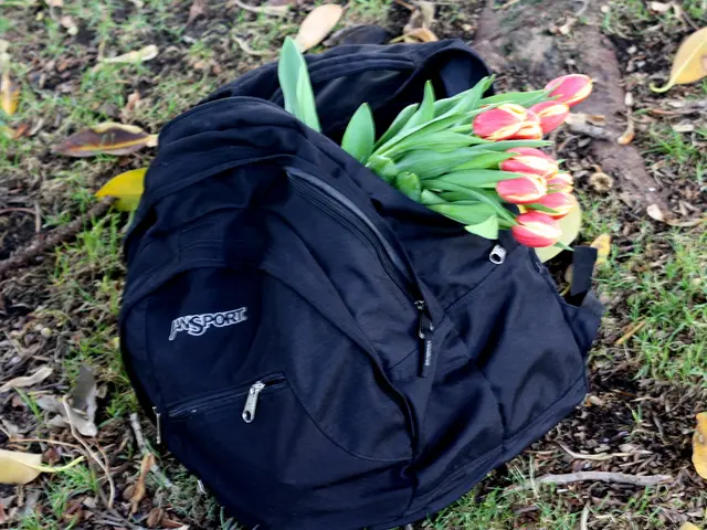 Garden Hoses and Chemical Contamination: Are Your Gardening Tools Harmful?