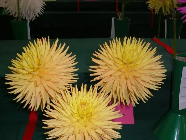 Vasectomy Aftermath: Understanding Potential Complications, Recuperation, and Anticipated Outcomes