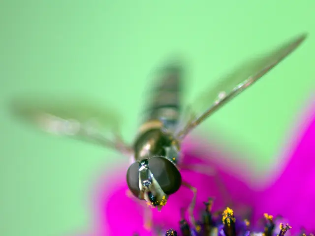 underground strategies for eliminating milia: procedures, precautions, and origins