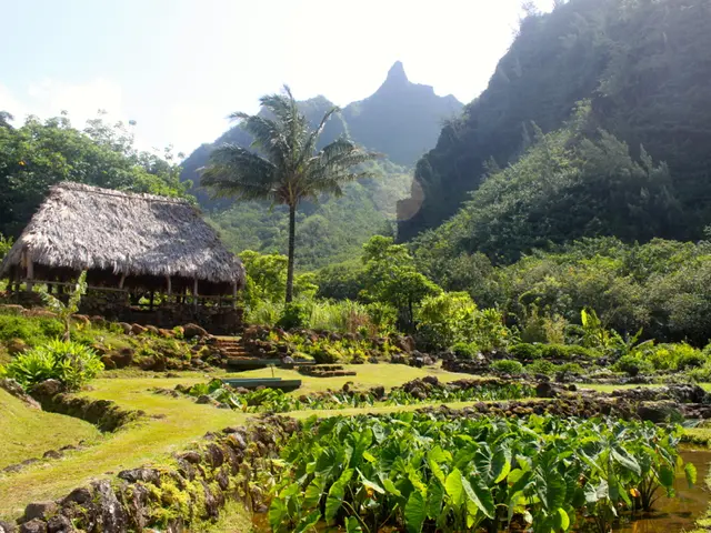 Abdominal discomfort and infrequent bowel movements: Understanding potential causes and when to...