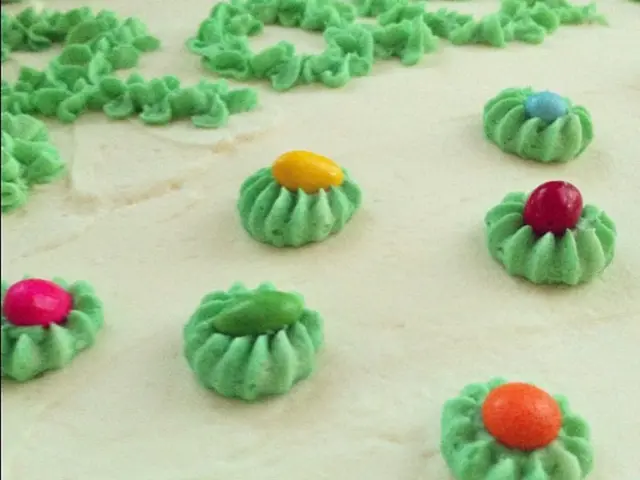 Cancerous and Pre-cancerous Skin Growths and Rashes