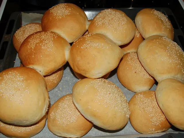 Vesicles: An Investigation into Their Nature - Types, Structure, and Role Examined