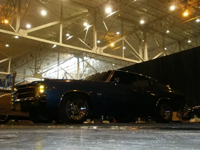 Carnitine Varieties, Advantages, and Potential Hazards