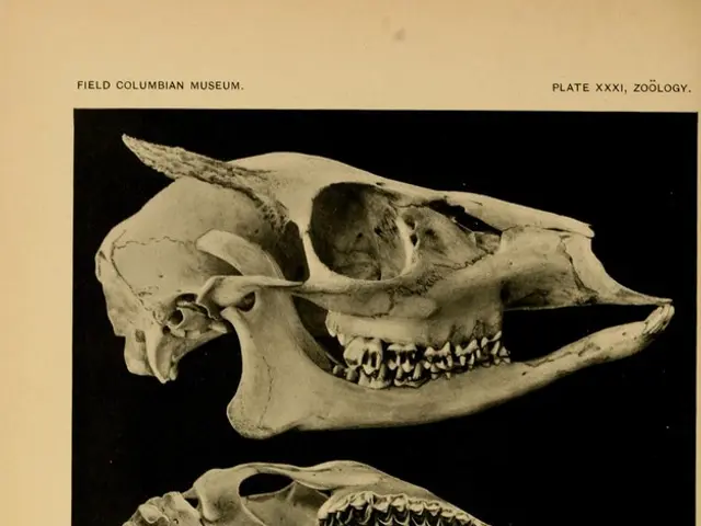 Alzheimer's Patients' Memories Could Potentially Remain Undiminished for Eternity