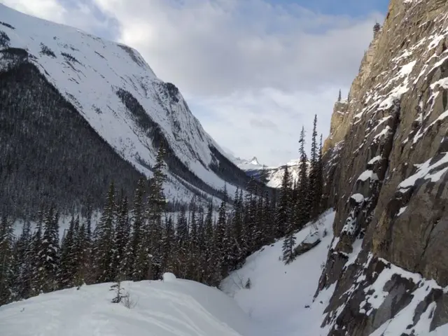 Arctic Tundra Current State: Releasing More Carbon Compounds Than It Captures, According to...