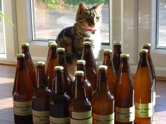 The quality of water found in PET bottles raises concerns due to potential contaminants affecting...