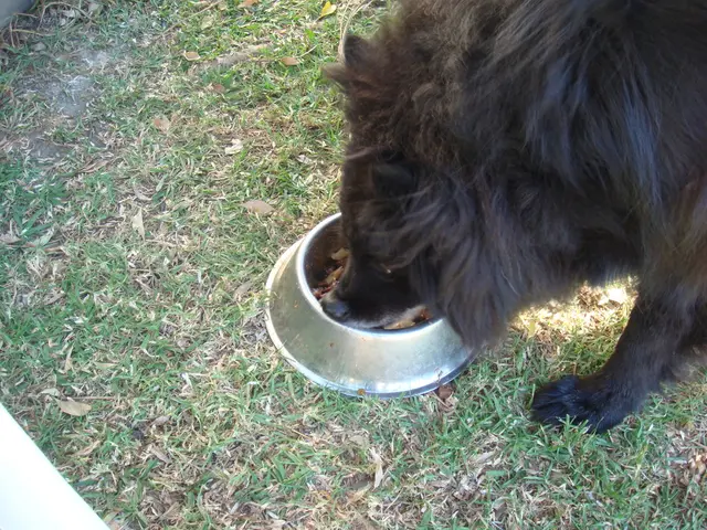 Spreading alarm over the rising prominence of African swine fever across all parts of the country,...