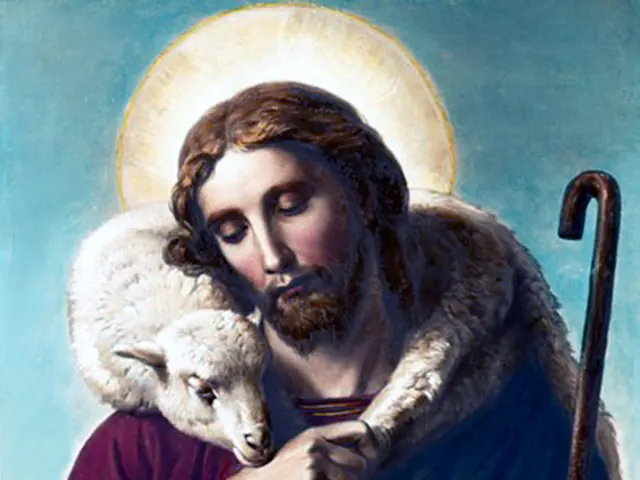 Lumpy Skin Disease: Recognizing Symptoms and Ensuring Safety Measures Following Outbreak Warning in...