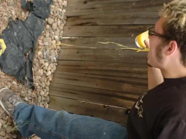 Vomiting Post-Alcohol Consumption: Causes, Advantages, and Dangers