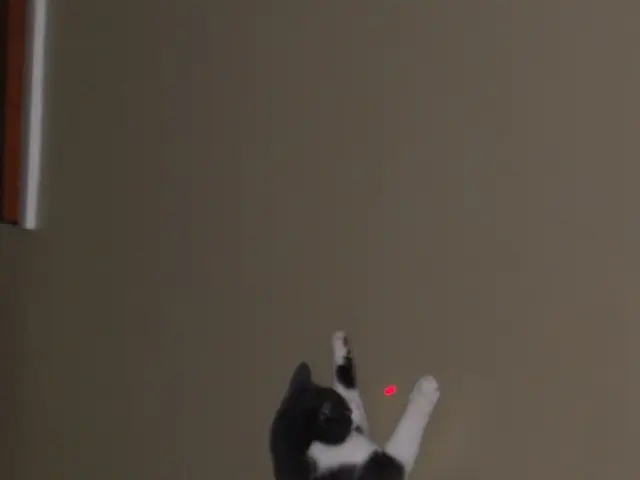 Medtronic obtains approval from the FDA for the Visualase V2 MRI-directed laser ablation system