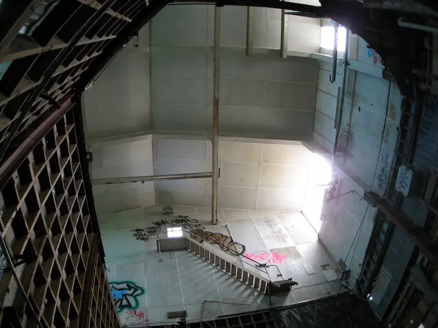 Iron-rich foods for hemoglobin boosting