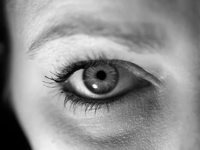 Struggles with Eye Contact in Autism: Insights on the Challenges