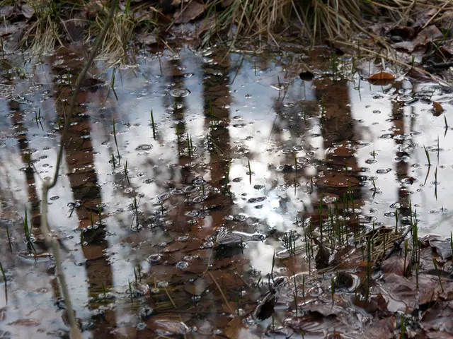 Hydrocele Exploration: Signs, Root Causes, and Remedies