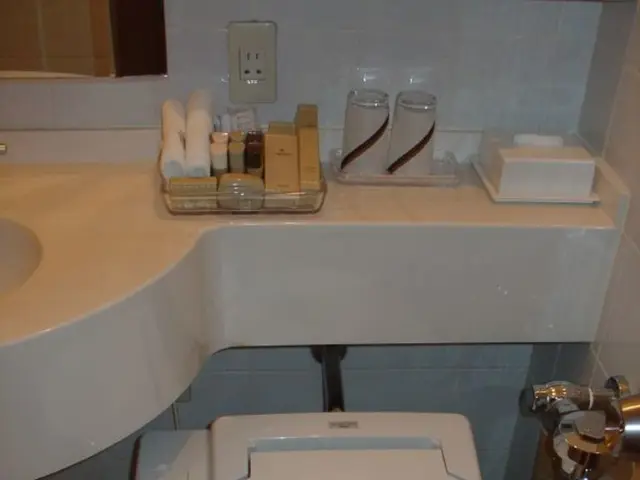 Trachea Exploration: Comprehensive Description, Structure, Role, and Beyond