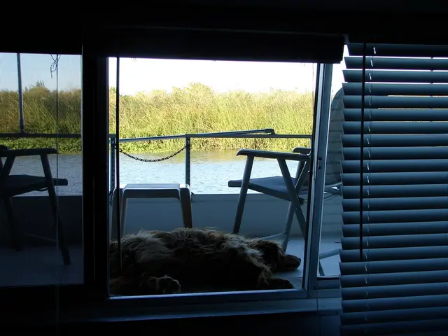 Child Peering from Window