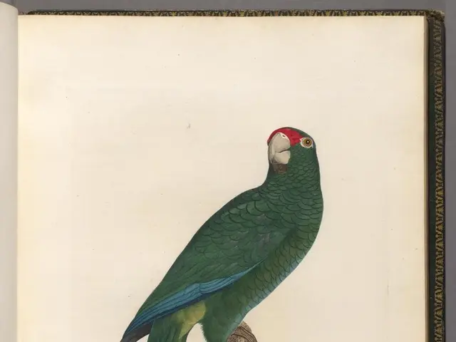 Top 101 Zen Maxims and Aphorisms, Carefully Selected to Soothe Your Spirit