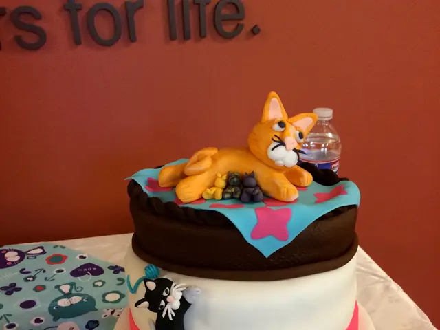 Unraveling Misconceptions About Serotonin (Unlocking Science's True Findings)