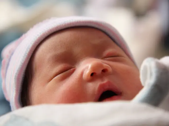 The Impact of Sleep on a Child's Early Educational Achievement Success