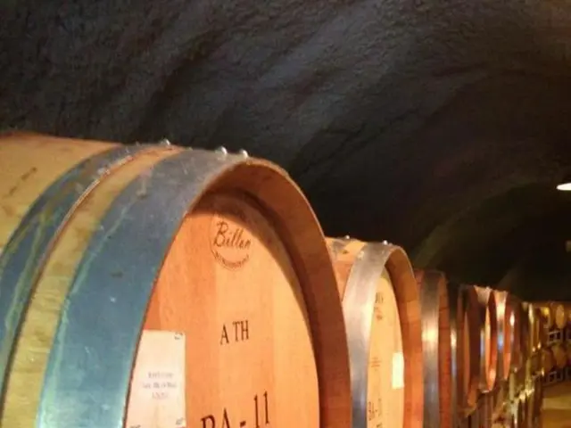 Individuals reside within a U.S. bunker, accompanied by children.