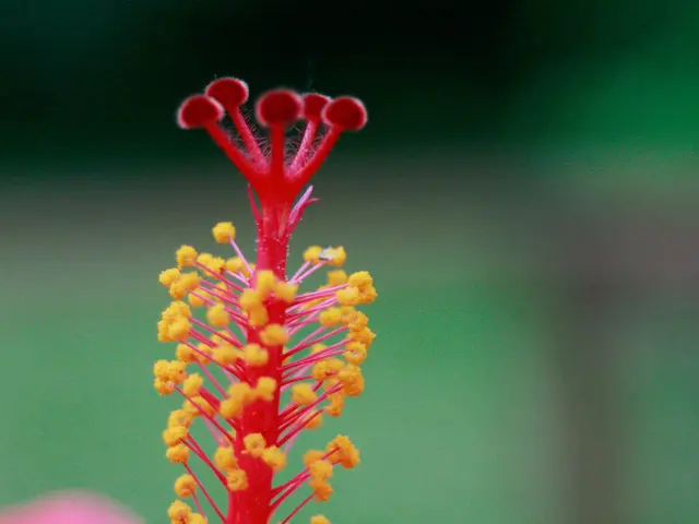 Identifying and Treating Internal Styles: Options and Guidelines